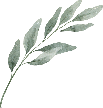 Eucalyptus branch watercolor.